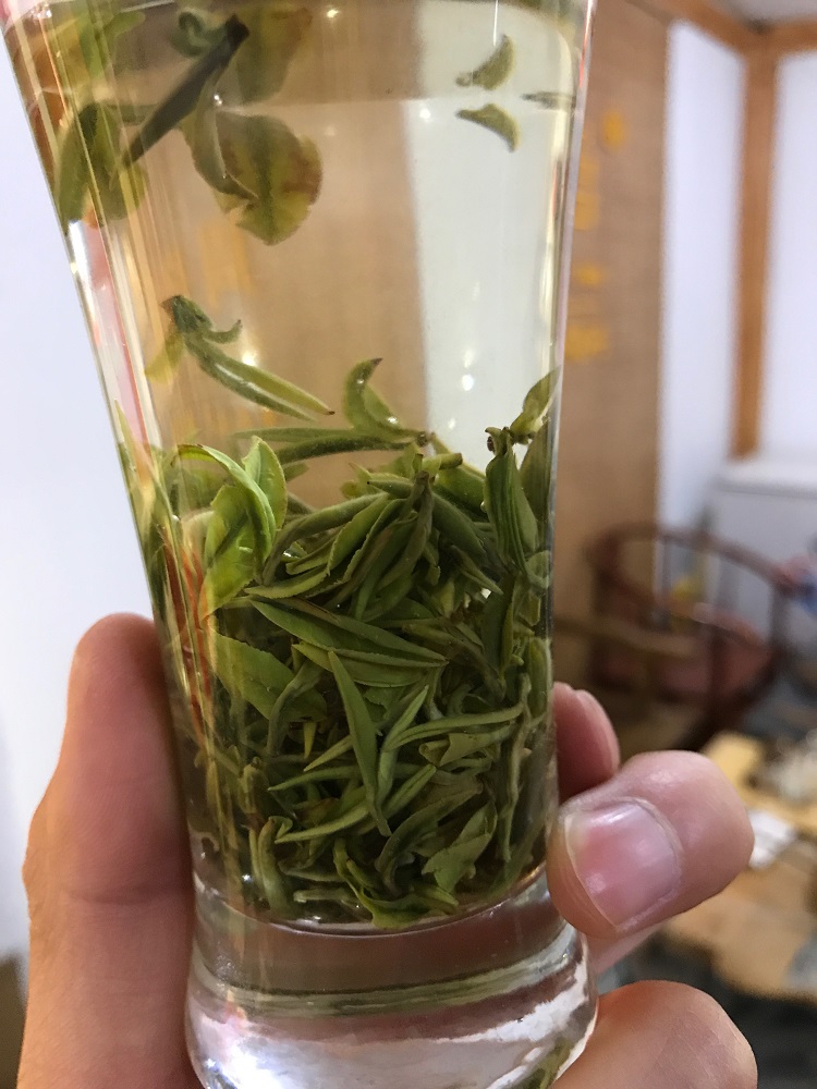 信阳毛尖手工茶