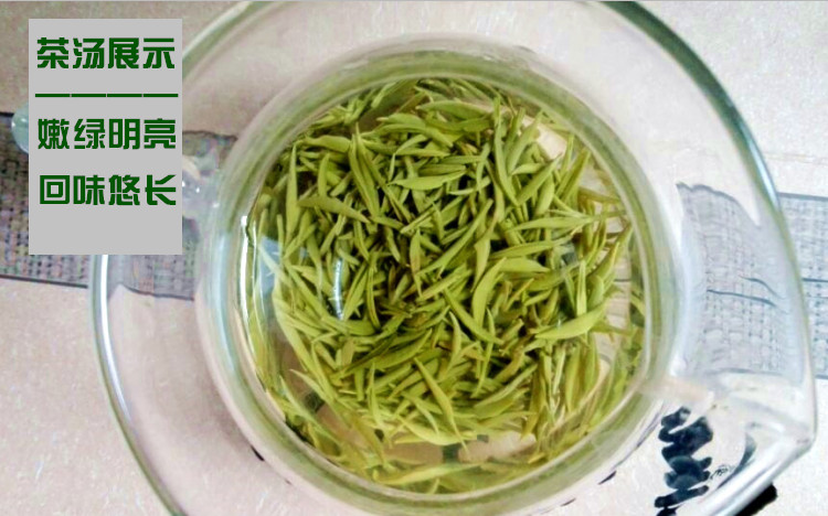 2023年新茶叶手工茶 信阳毛尖 雨前特级春茶 浉河港绿茶 茶厂直销