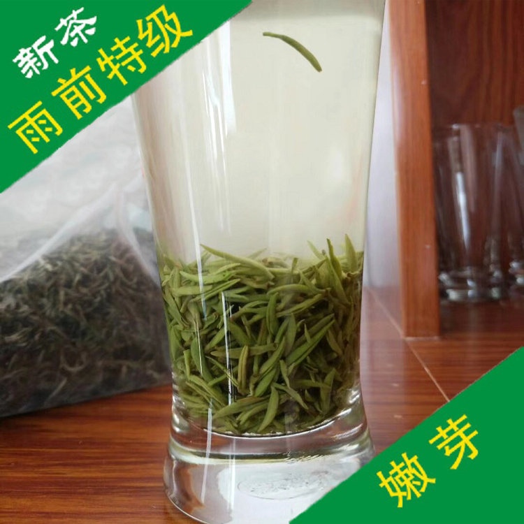 2023年新茶叶手工茶 信阳毛尖 雨前特级春茶 浉河港绿茶 茶厂直销