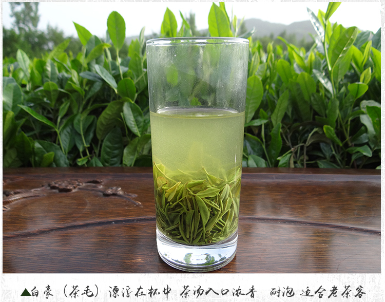 手工毛尖茶批发 信阳毛尖 2025新茶 雨前三级 浉河港原产地