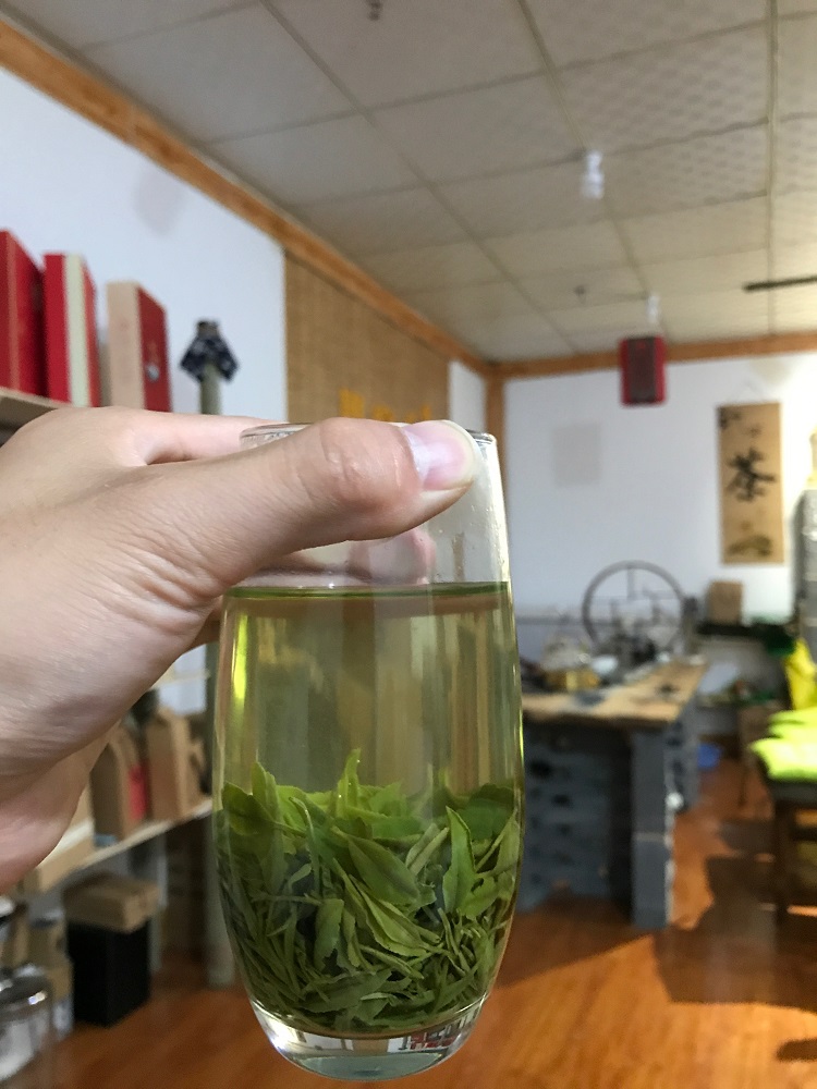 高山毛尖茶 浉河港 信阳毛尖 2023新茶 春尾一级手工茶批发