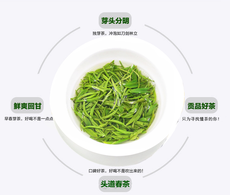 信阳毛尖大山茶2025新茶浉河港大山茶明前一级嫩芽