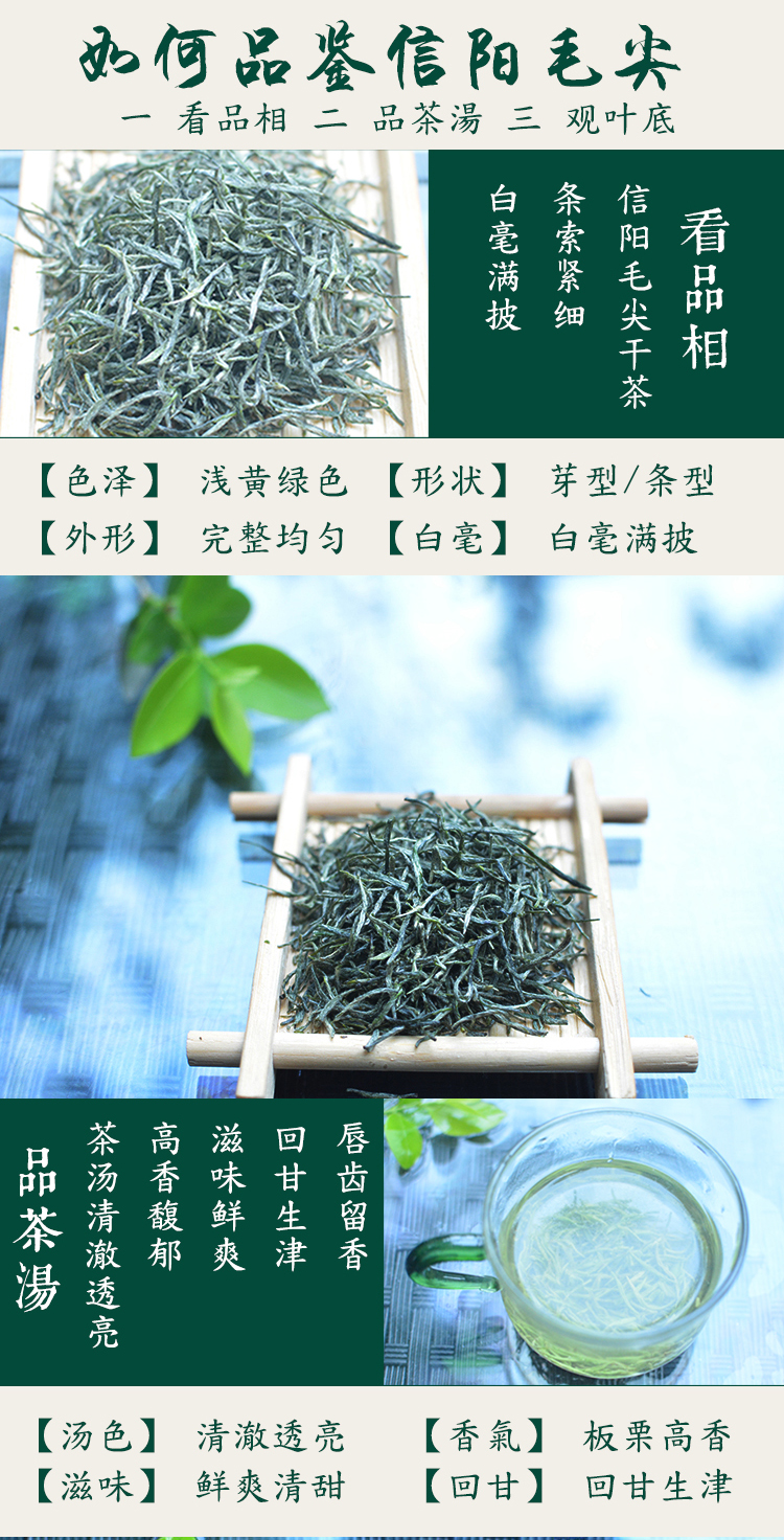 浉河港核心产区 信阳毛尖2019新茶礼品茶装特级嫩芽茶叶绿茶自产自销浓香型500g