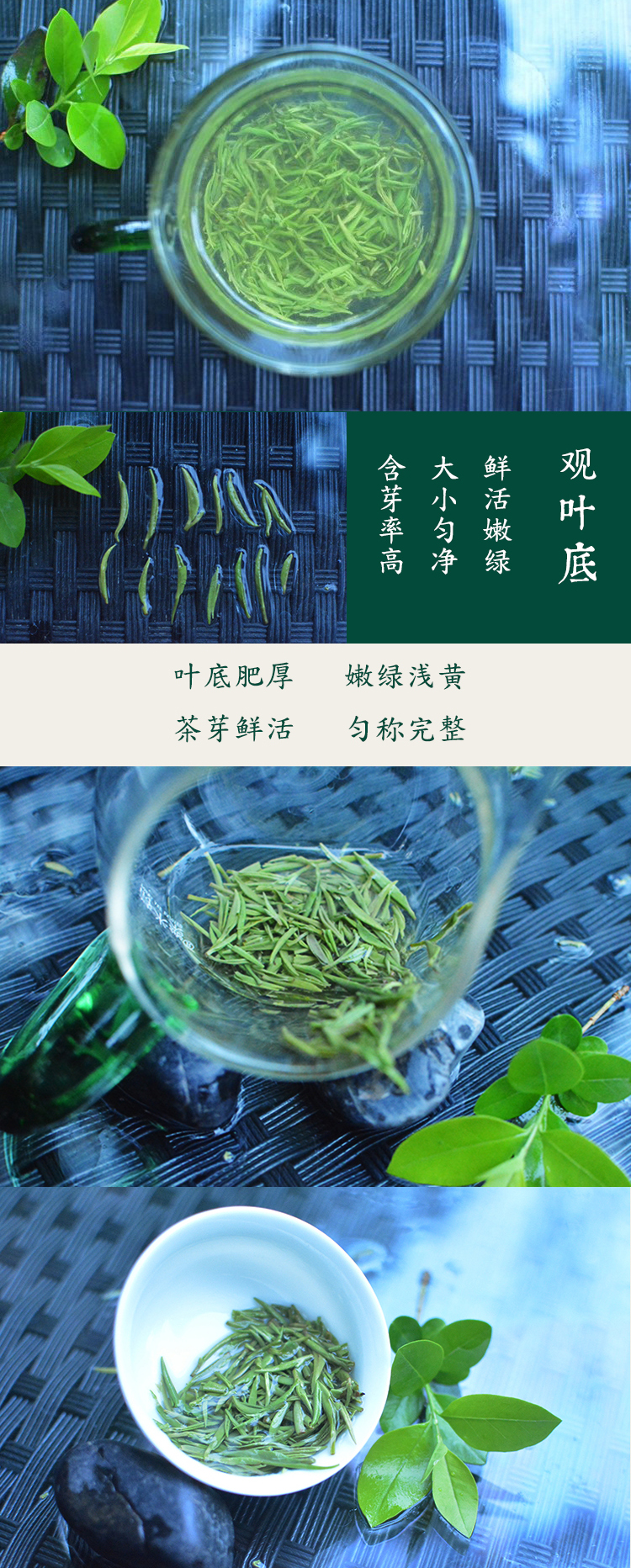 2025年新茶叶 大山信阳毛尖 雨前特级春茶 浉河港茶厂批发