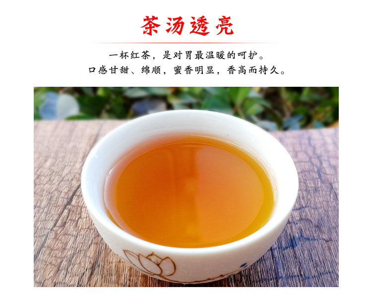 信阳红茶2024新茶珍品大山红茶浉河港茶厂原产地高山茶