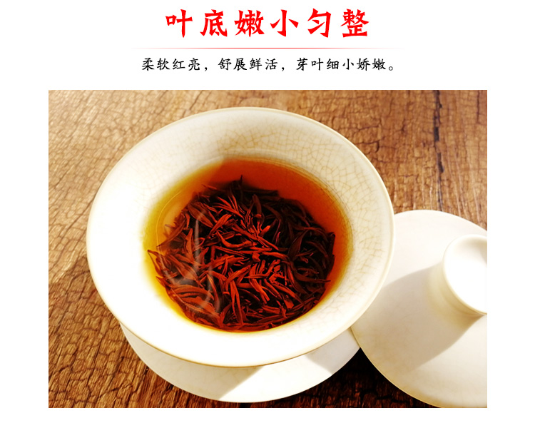 信阳红茶2025新茶珍品大山红茶浉河港茶厂原产地高山茶