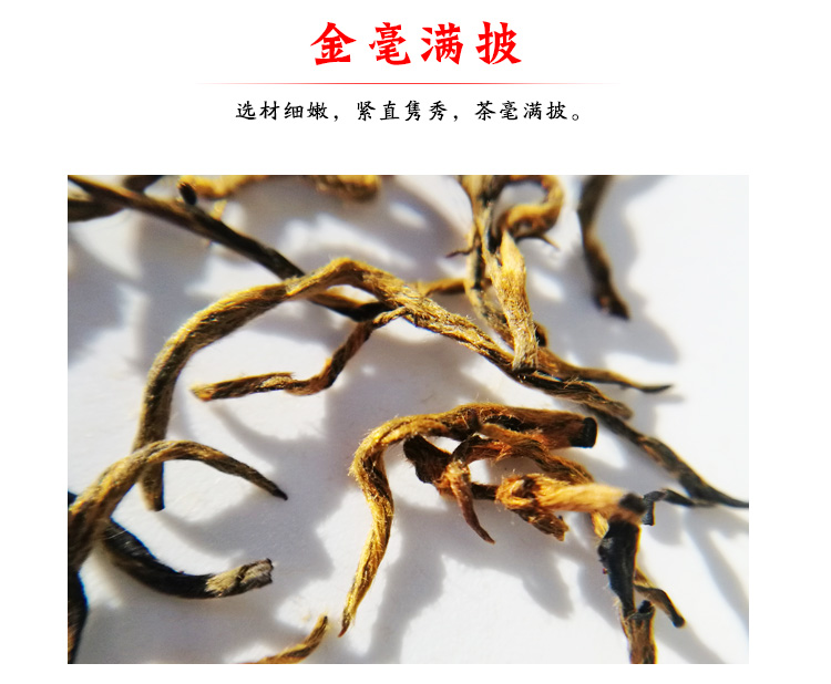 信阳红茶2025浉河港大山红茶特级 大山茶原产地批发