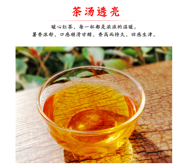 信阳红茶2025浉河港大山红茶特级 大山茶原产地批发