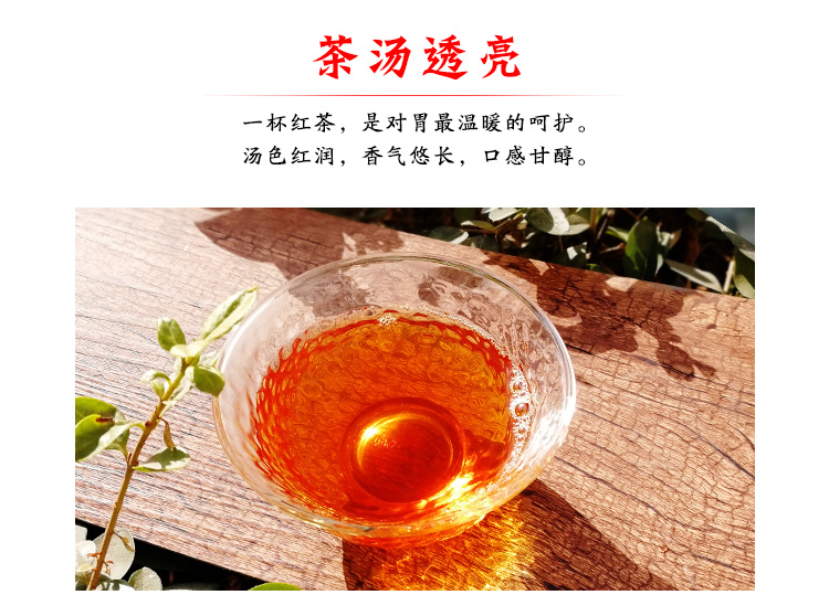 浉河港信阳红茶2025新茶红茶二级 信阳浉河港原产地直销