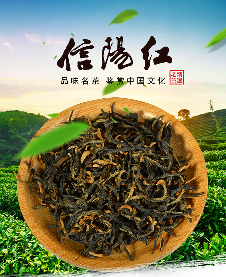 信阳红茶2024新茶叶醇香信阳红功夫红茶一芽二叶特价