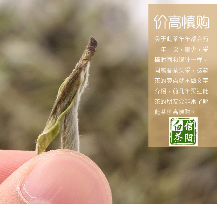 【阿里云】河南白茶 信阳白茶2018明前特级新茶 小罐罐茶32g