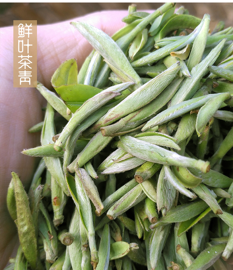 【阿里云】河南白茶 信阳白茶2018明前特级新茶 小罐罐茶32g