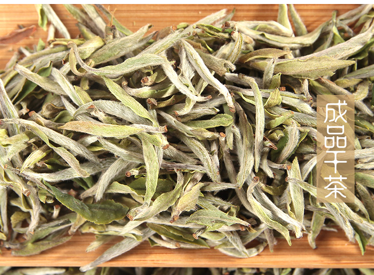 周开启茶业 河南白茶 信阳白茶2018明前头采嫩芽茶 浉河港茶厂批发