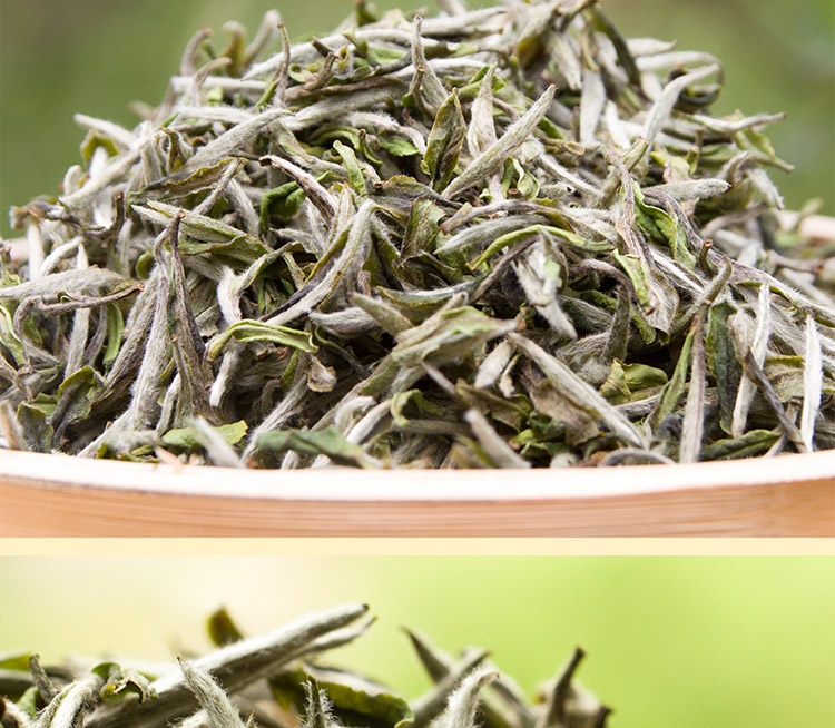 浉牌白茶 2025信阳白茶 明前一级润灵芽白茶 浉河港茶厂批发