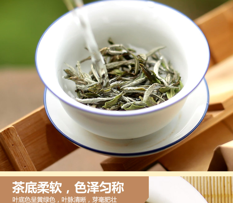 浉牌白茶 2025信阳白茶 明前一级润灵芽白茶 浉河港茶厂批发