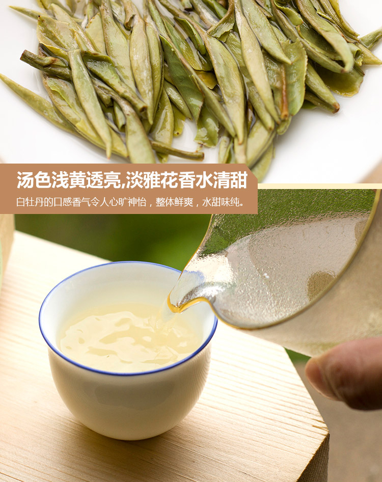 浉牌白茶 2025信阳白茶 明前一级润灵芽白茶 浉河港茶厂批发