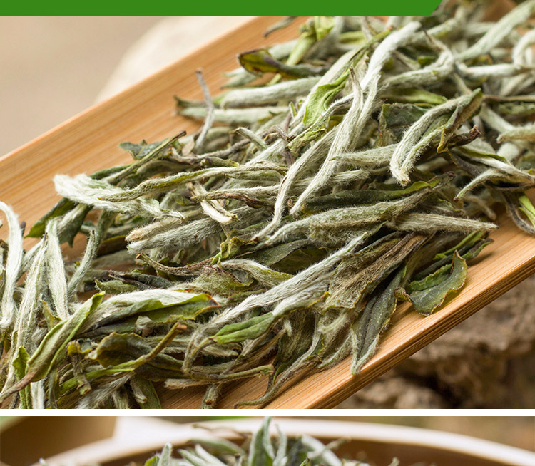 信阳白茶2025明前三级绽琼芽 春茶正宗浉河港核心产地白茶批发