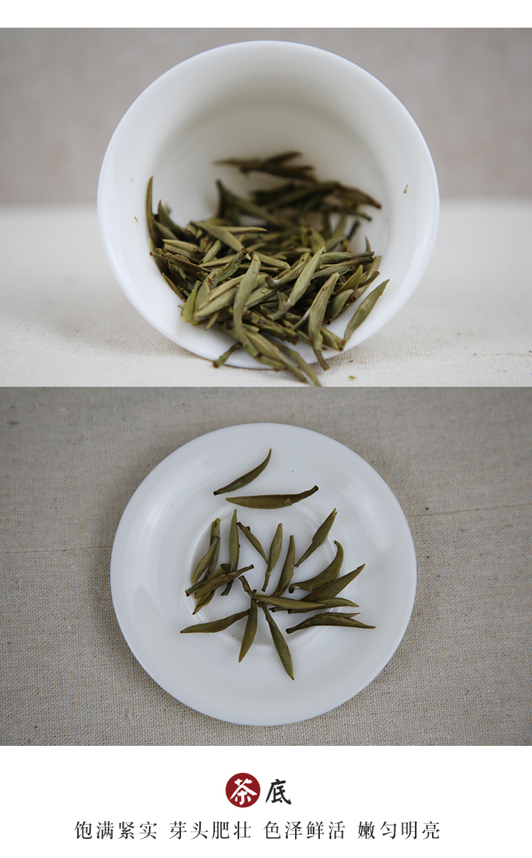 信阳白茶 2024雨前珍品皛芽  信阳特产 珍稀白茶批发