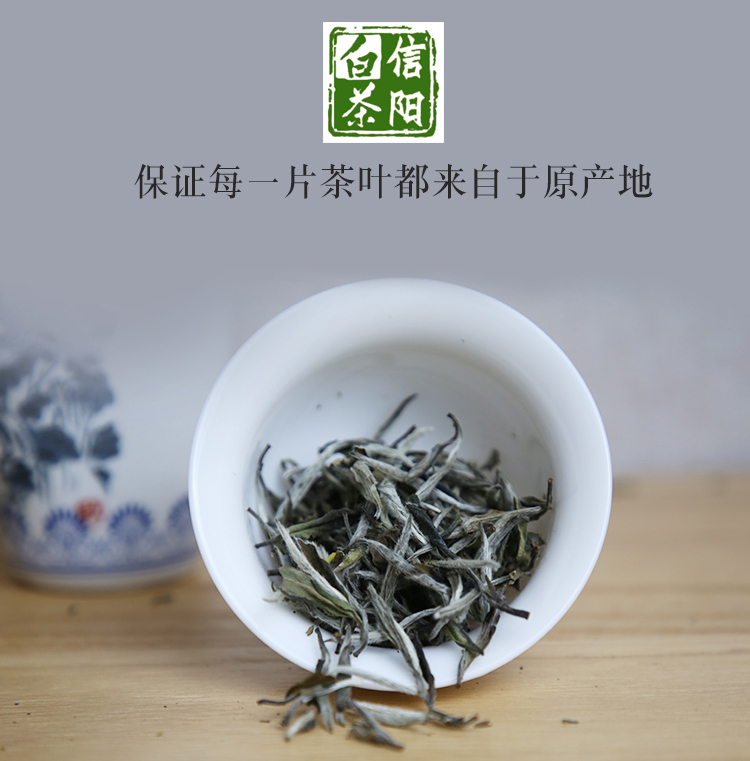 信阳白茶2025春茶 雨前特级皛芽白茶 浉河港信阳白茶厂批发