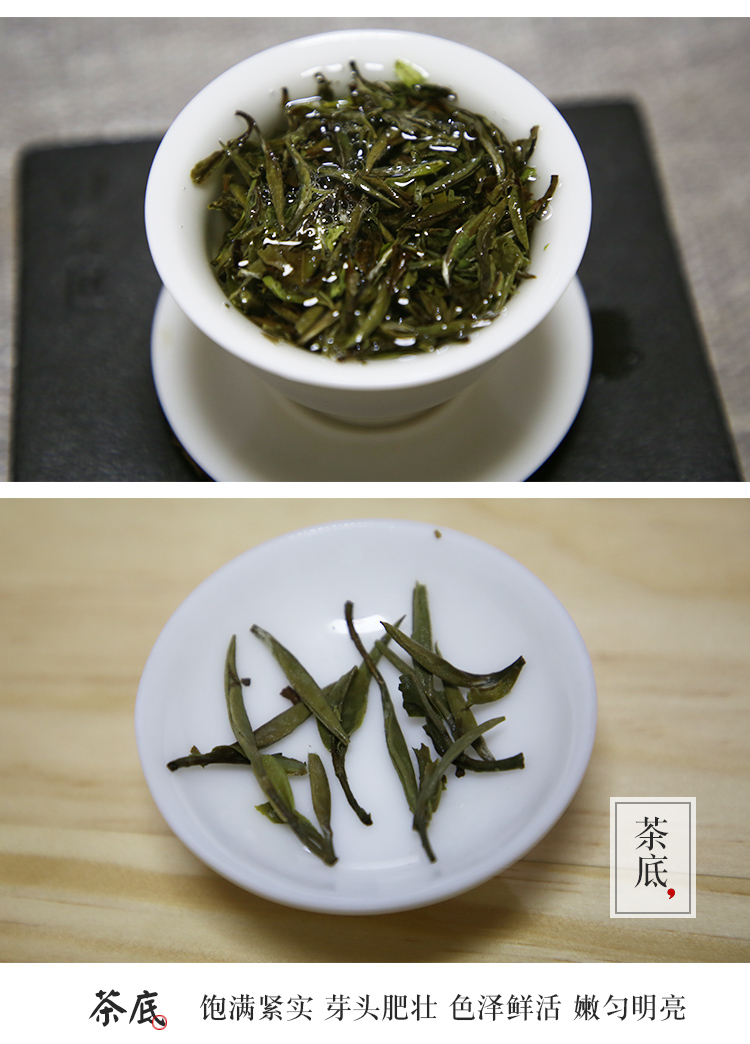 信阳白茶2025春茶 雨前特级皛芽白茶 浉河港信阳白茶厂批发