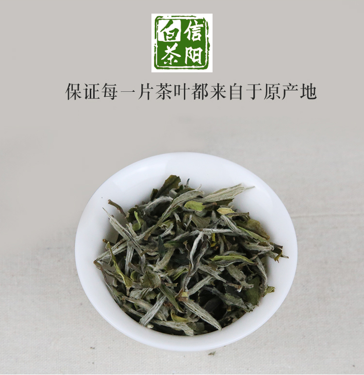 浉牌 2023信阳白茶 浉河港核心产地雨前一级润灵芽 新茶散茶批发