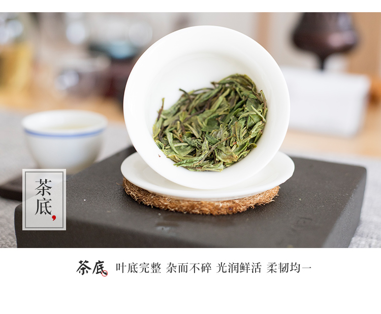 浉牌 2025信阳白茶 浉河港雨前二级润灵芽 新茶散茶批发
