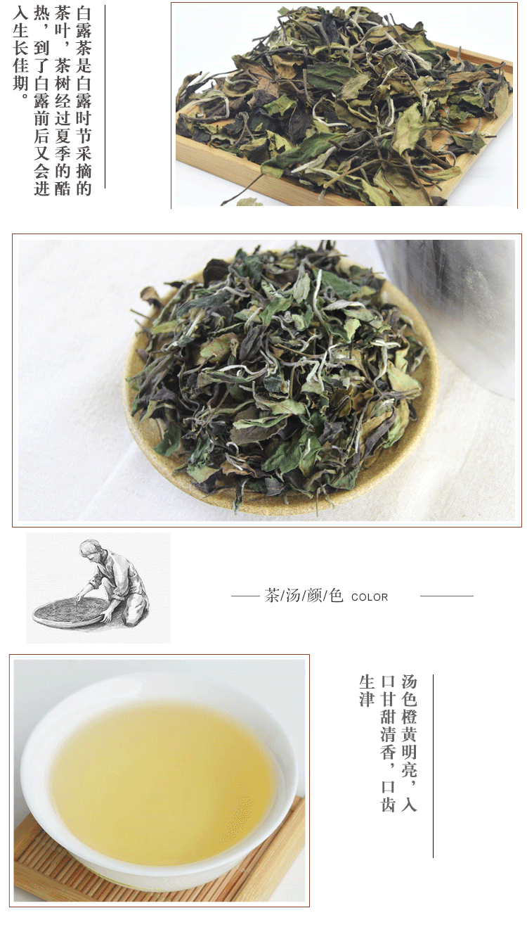 信阳白茶散茶 2024年白露茶 高山白露润灵芽 产地批发
