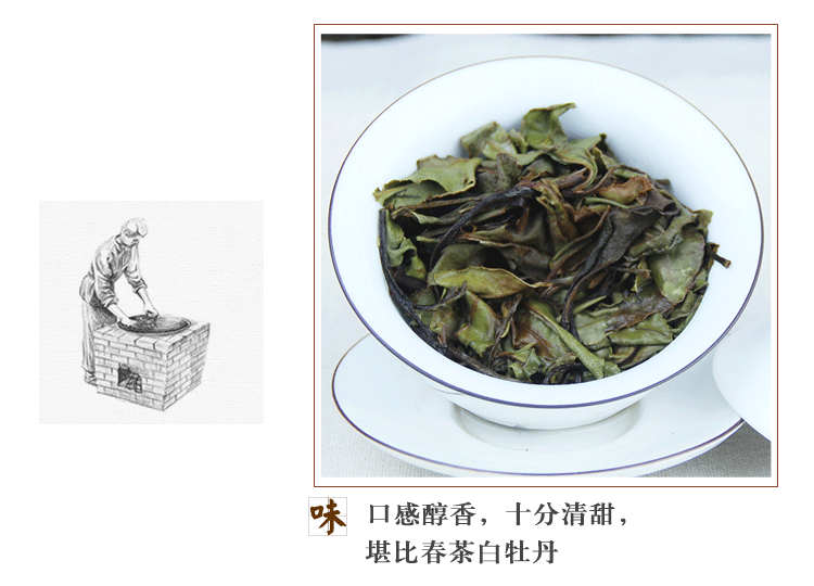 信阳白茶散茶 2024年白露茶 高山白露润灵芽 产地批发