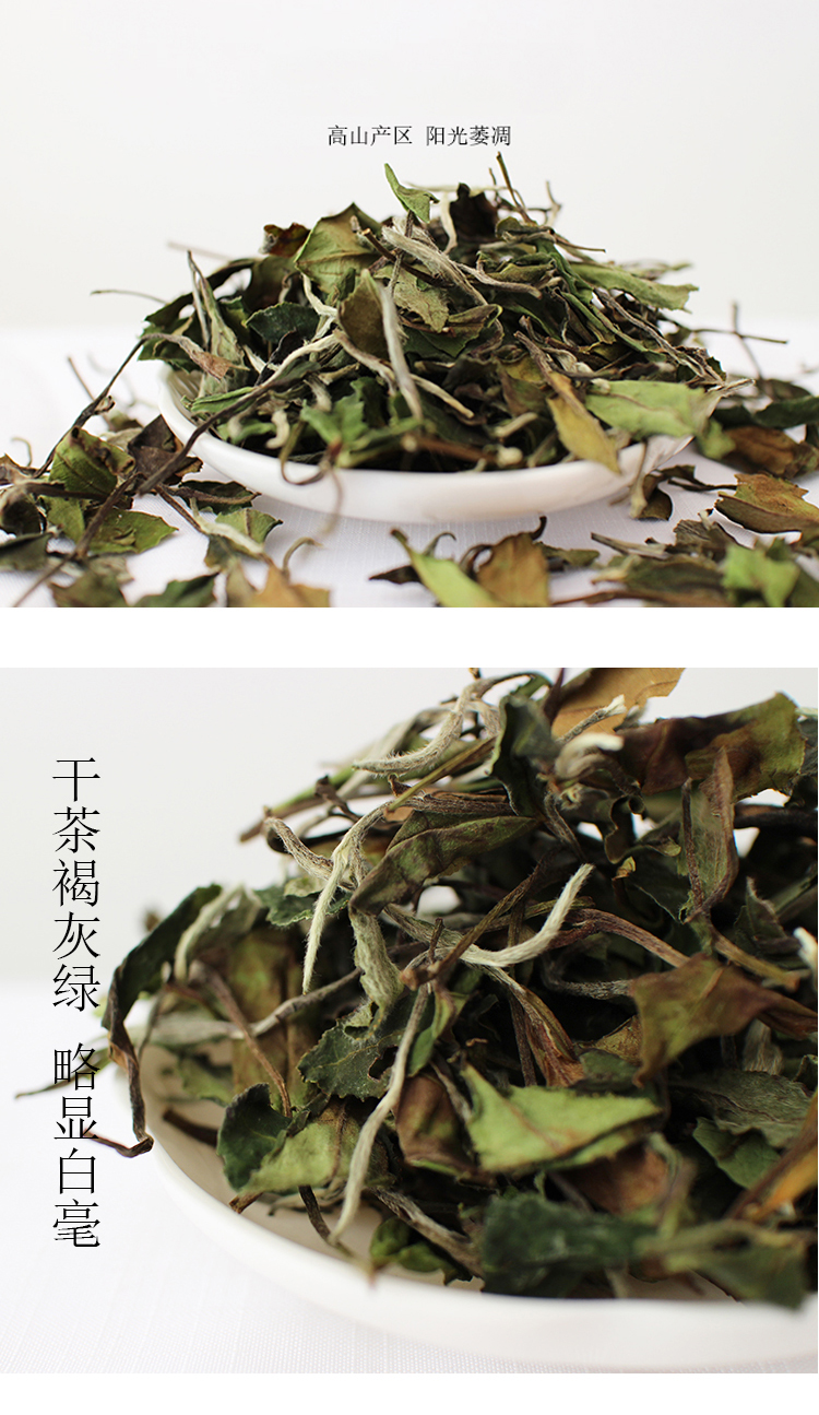 信阳白茶散茶 2024年白露茶 高山白露兰芽玉蕊 浉河港茶厂批发