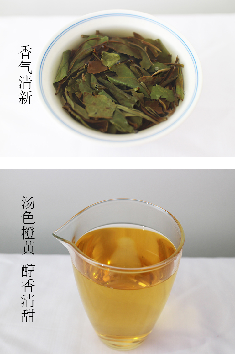 信阳白茶散茶 2024年白露茶 高山白露兰芽玉蕊 浉河港茶厂批发