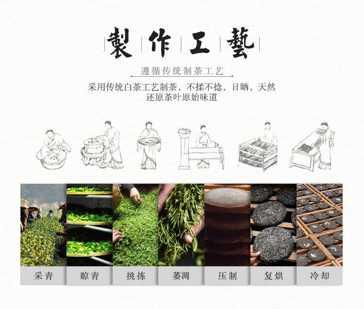 信阳白茶 野生白茶 2012年信阳老白茶 信阳特产 野生白茶批发