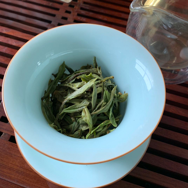 2025新茶信阳白茶散茶 明前一级润灵芽白茶浉河港大山茶散装 茶厂批发