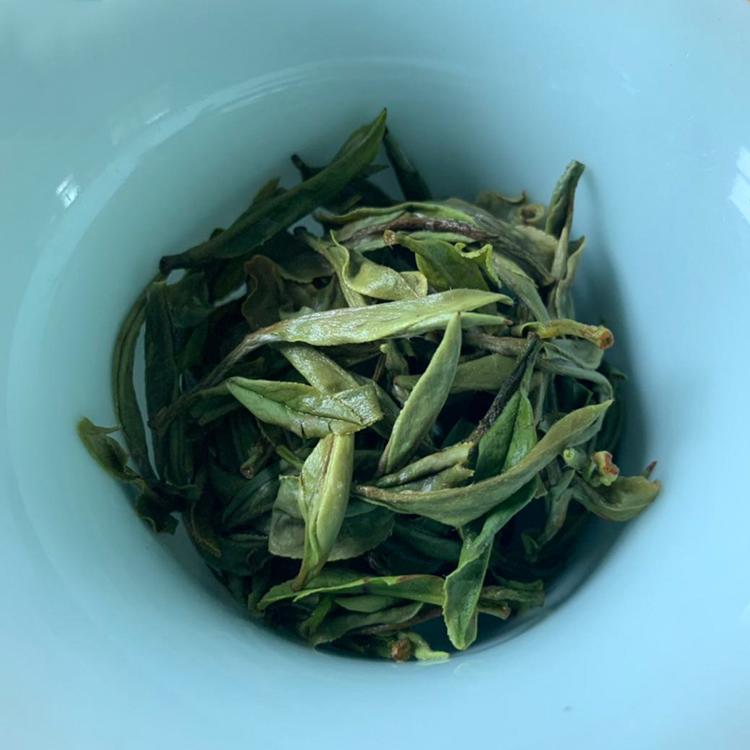 2025新茶信阳白茶散茶 明前一级润灵芽白茶浉河港大山茶散装 茶厂批发