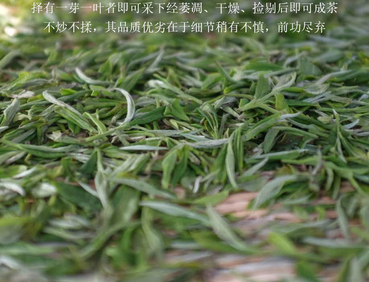 2025春茶信阳白茶新茶 雨前特级皛芽大山茶 浉河港核心产区直销