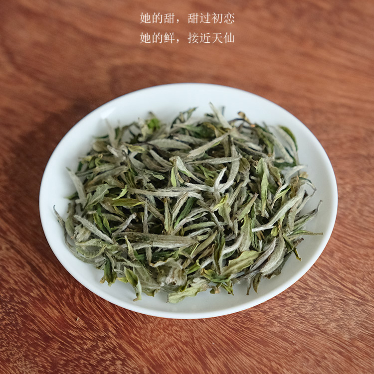 2025春茶信阳白茶新茶 雨前特级皛芽大山茶 浉河港核心产区直销