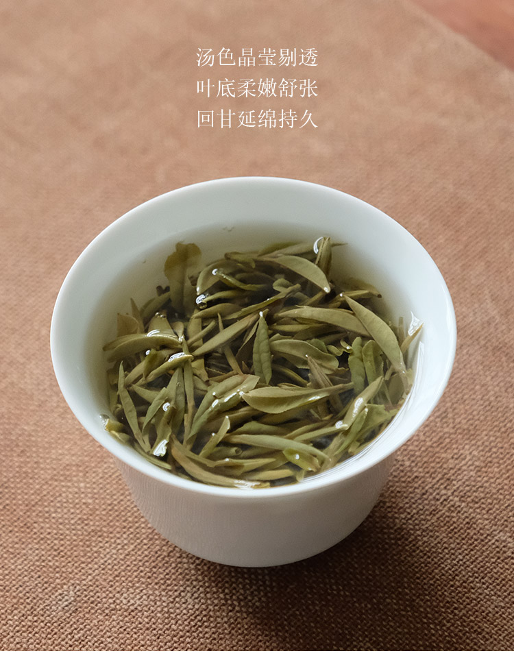 2025春茶信阳白茶新茶 雨前特级皛芽大山茶 浉河港核心产区直销