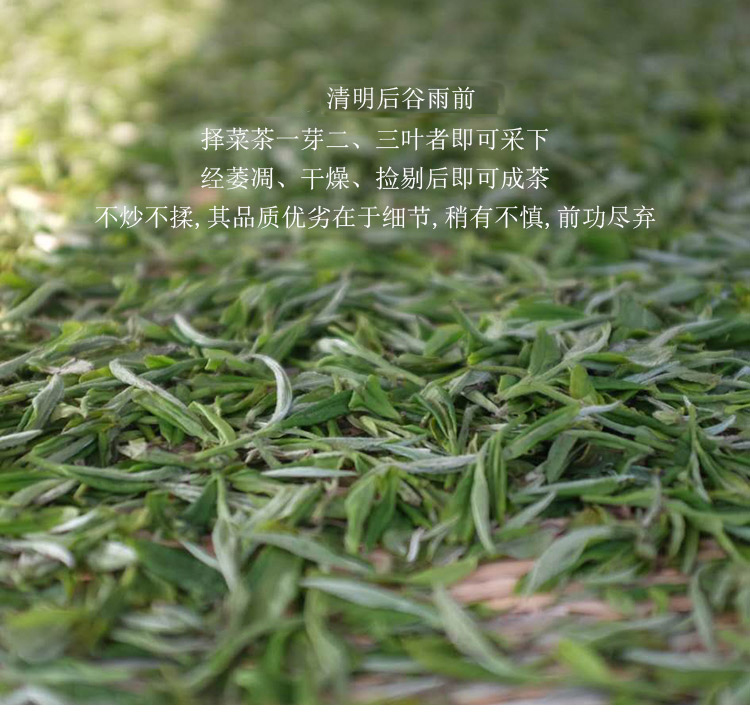 2025信阳白茶新茶 浉河港大山白茶 谷雨前三级绽琼芽 茶厂批发