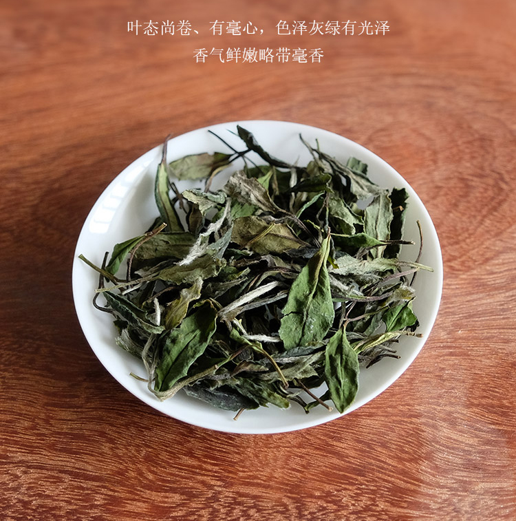 2025信阳白茶新茶 浉河港大山白茶 谷雨前三级绽琼芽 茶厂批发