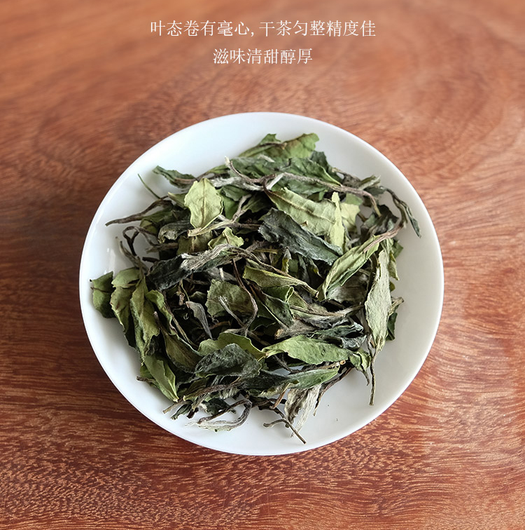 信阳白茶大山茶2025新白茶 春尾一级兰芽玉蕊 浉河港茶厂批发