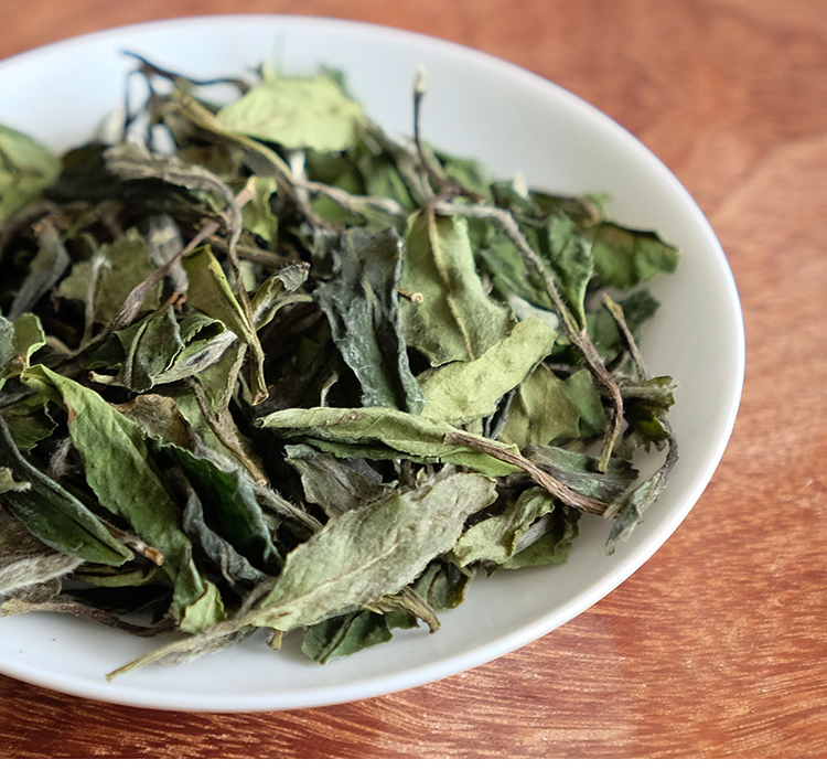 信阳白茶大山茶2025新白茶 春尾一级兰芽玉蕊 浉河港茶厂批发