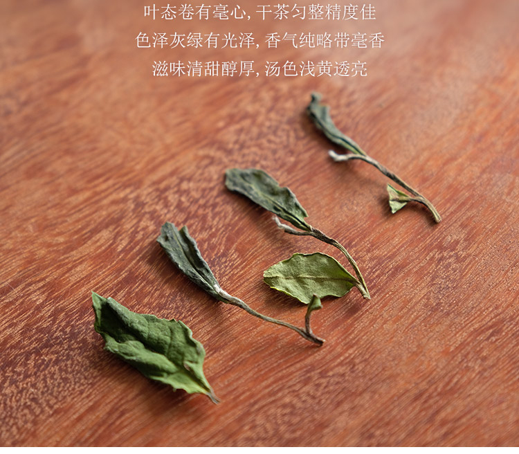 信阳白茶大山茶2025新白茶 春尾一级兰芽玉蕊 浉河港茶厂批发