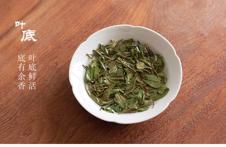 信阳白茶大山茶2025新白茶 春尾一级兰芽玉蕊 浉河港茶厂批发