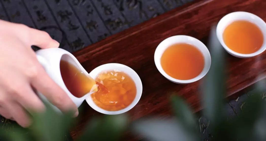 信阳红茶