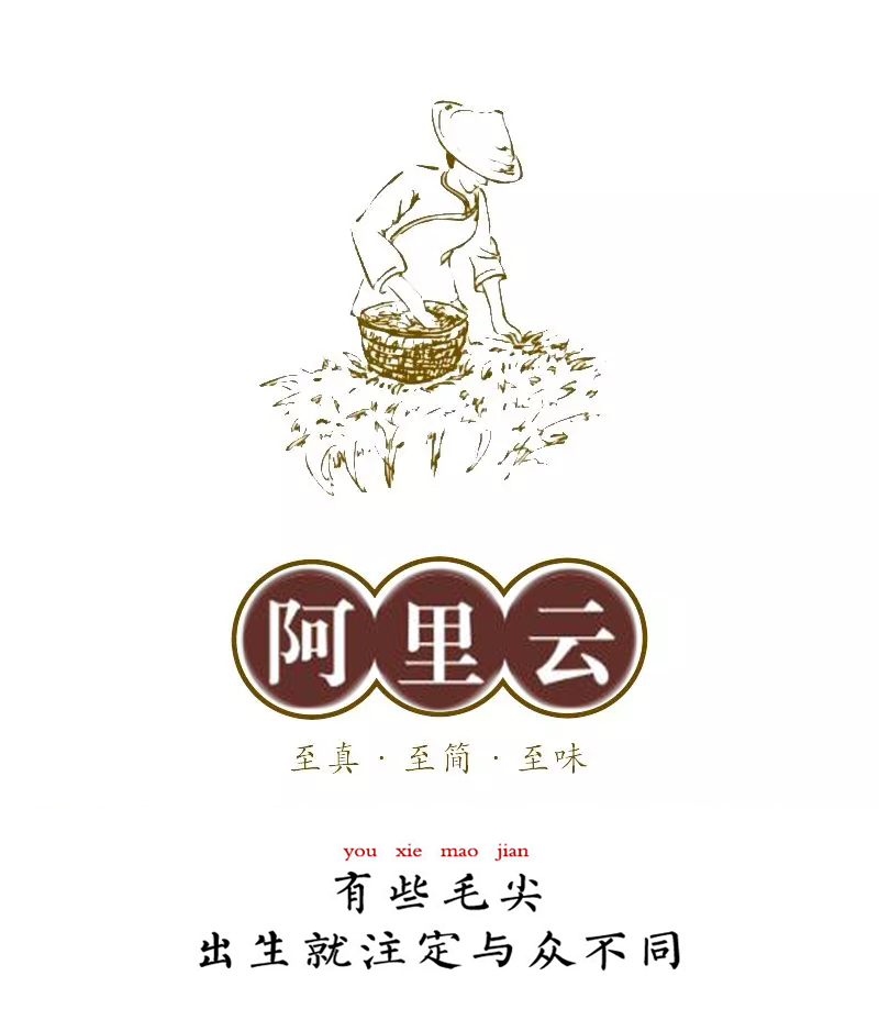 浉河港核心产区 信阳毛尖2023新茶礼品茶浓香型（新老包装随机发）