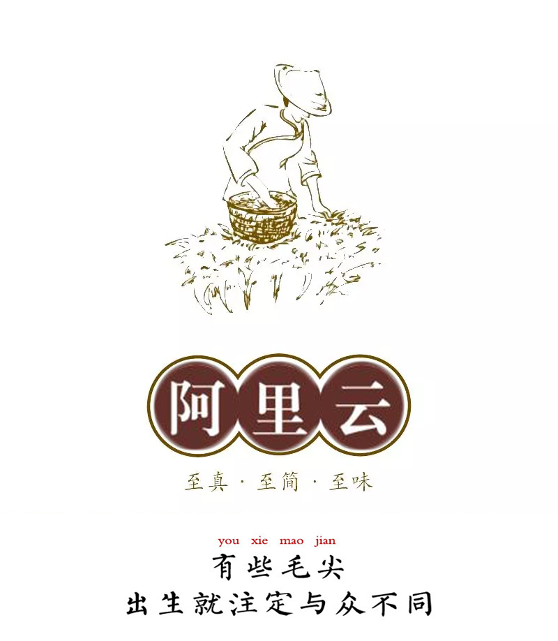 浉河港大山茶信阳毛尖茶2019新茶明前特级礼品茶 阿里云智慧茶庄园出品