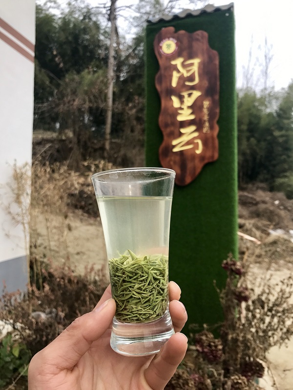 信阳高山下的茶香之源，阿里云茶庄园入水自涅槃