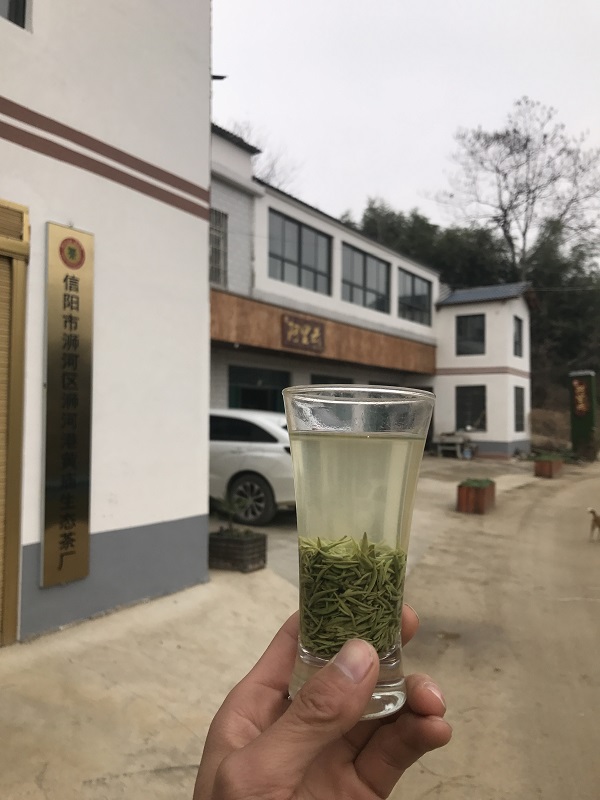 信阳高山下的茶香之源，阿里云茶庄园入水自涅槃