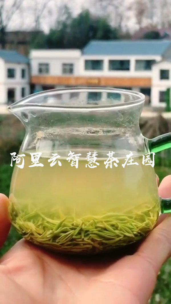 阿里云智慧茶庄园，一个来了就不想走的地方