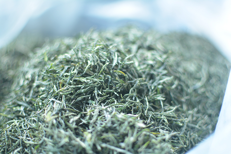 【五云两潭一寨】名山头茶100g雨前特级2025新茶绿茶信阳毛尖高山茶
