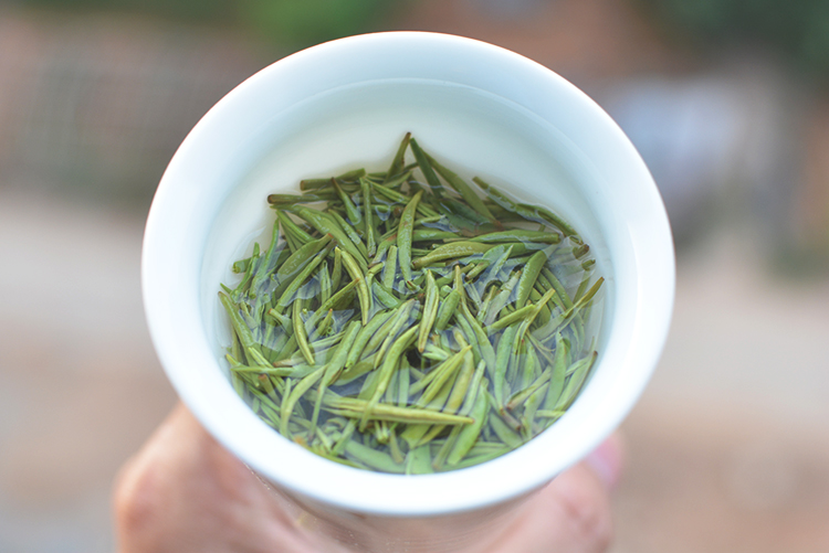 【五云两潭一寨】名山头茶100g雨前特级2025新茶绿茶信阳毛尖高山茶